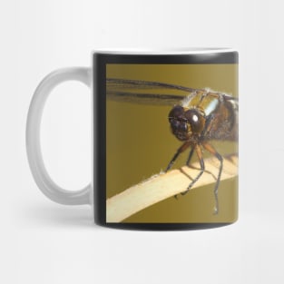 broad bodied chaser dragonfly Mug